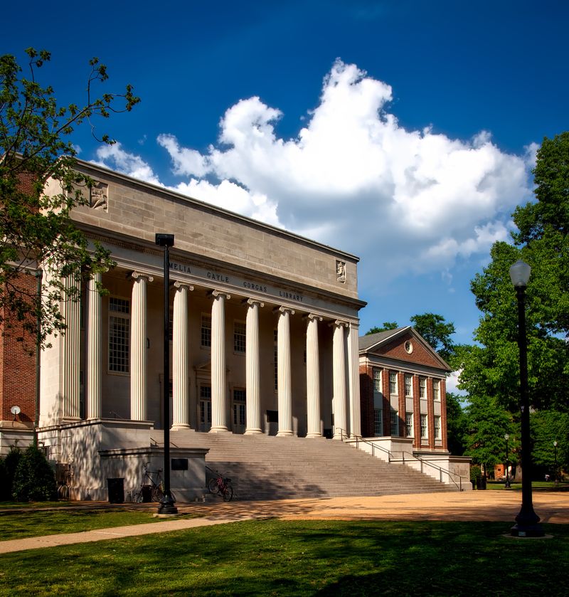Higher Education sector